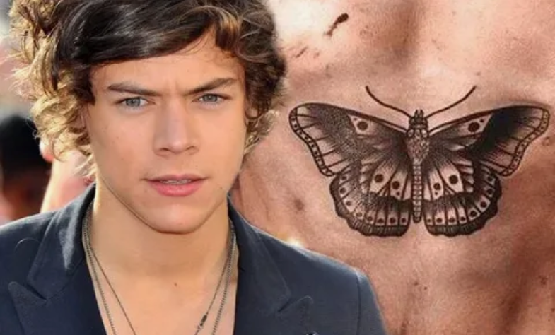 Harry Styles Butterfly Tattoo Meaning and Its Beauty in 2024