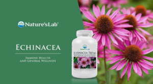 Echinacea: Immune System Booster